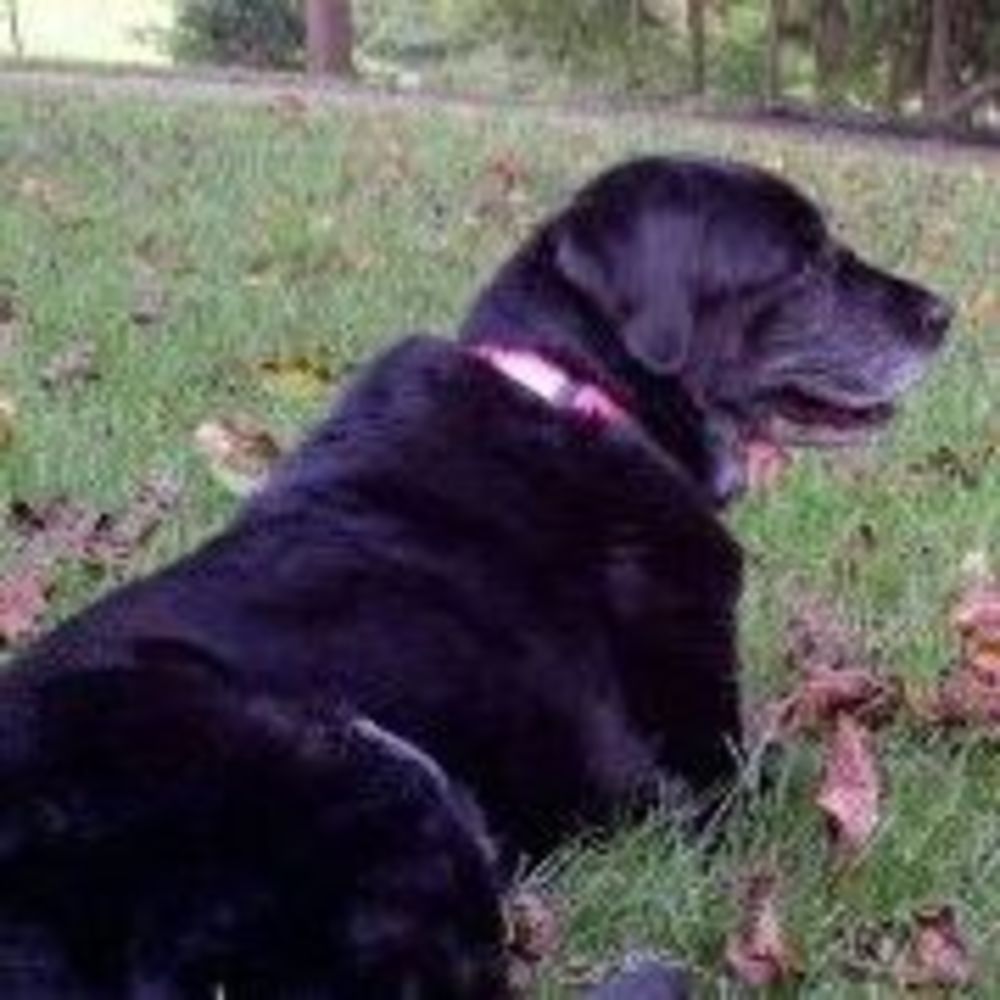 Meet your Posher, Brady